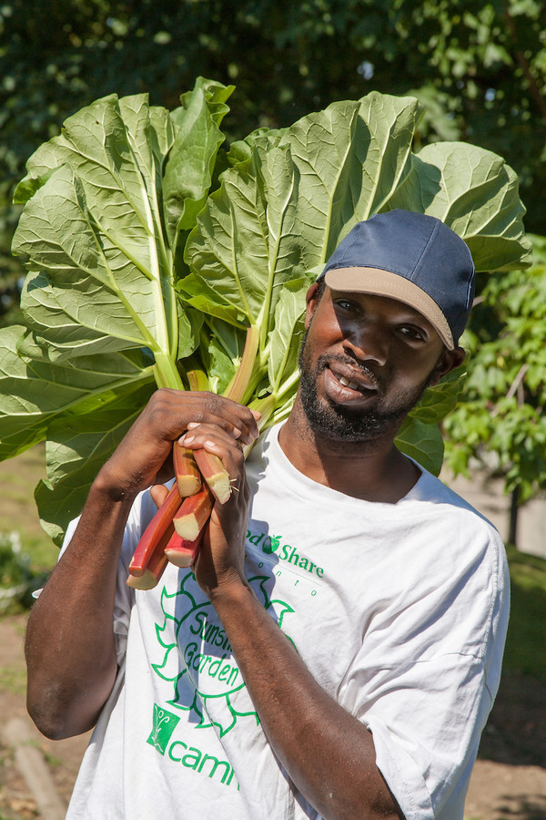 A gardener holds large stalks of rhubarb that he has just harvested from the Sunshine Garden, a therapeutic garden project at CAMH in Toronto.