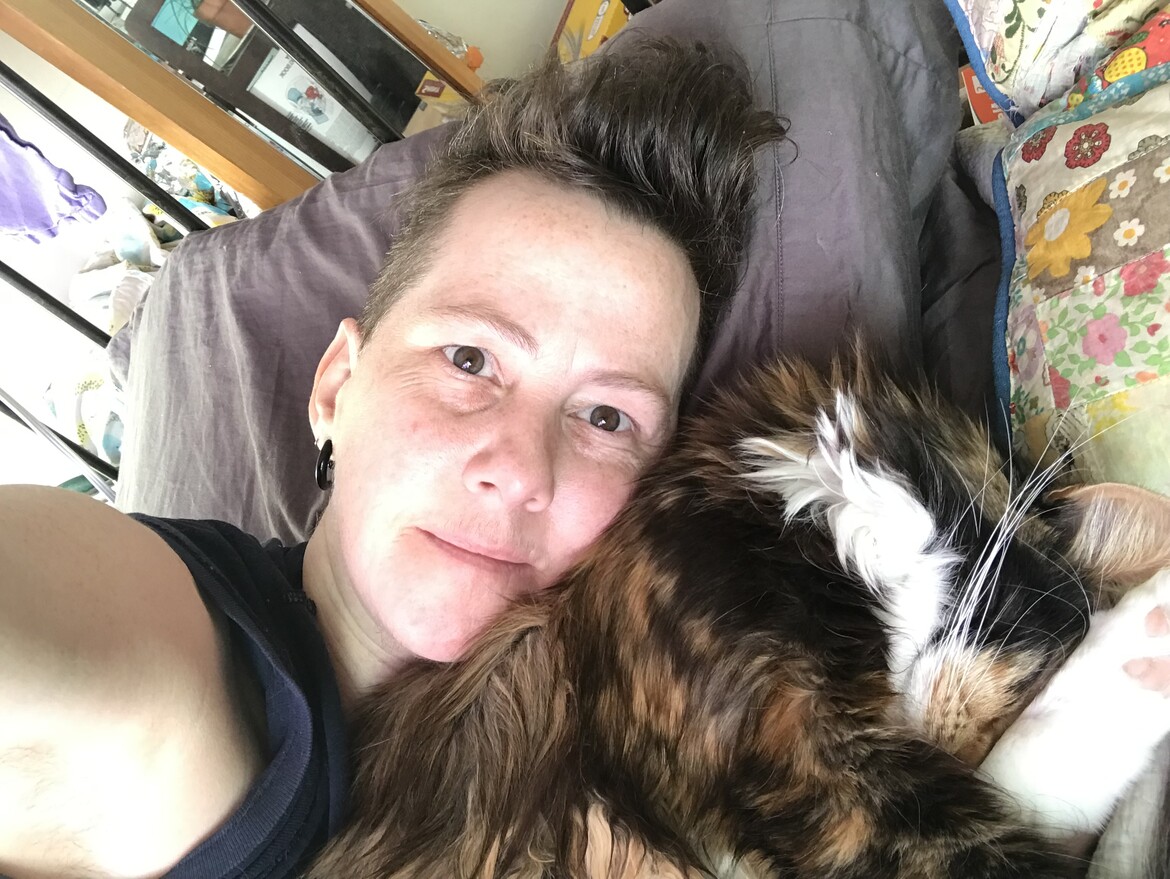 Human and calico cat snuggling on a bed, surrounded by a mix of colors and textures.