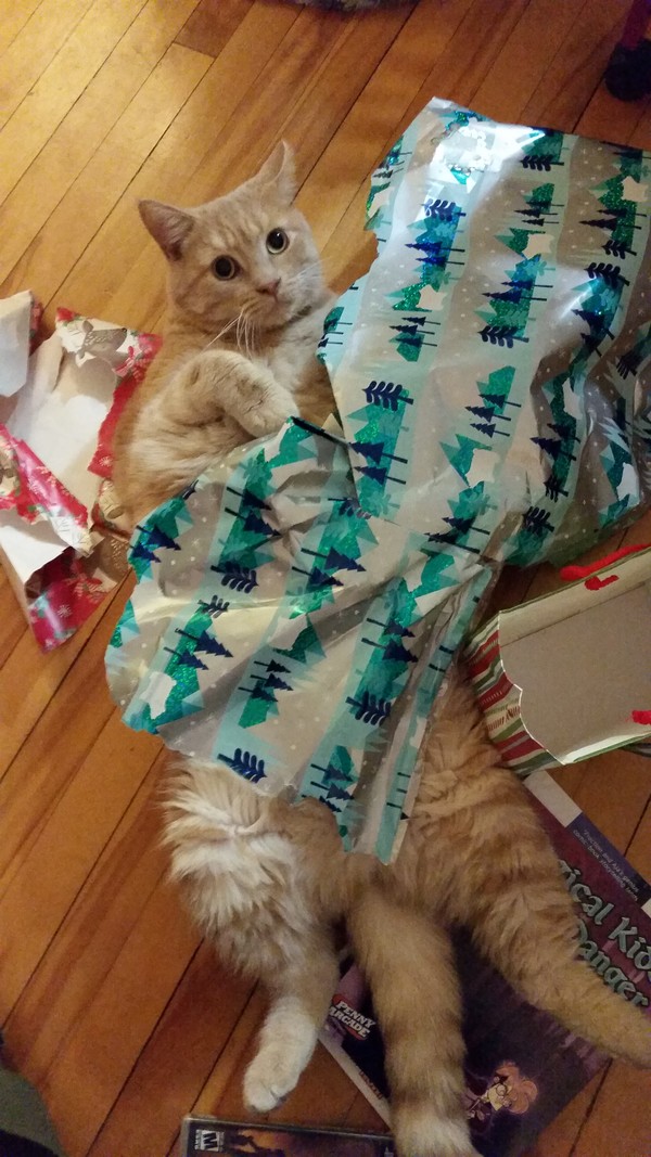Cornelius wrapping paper