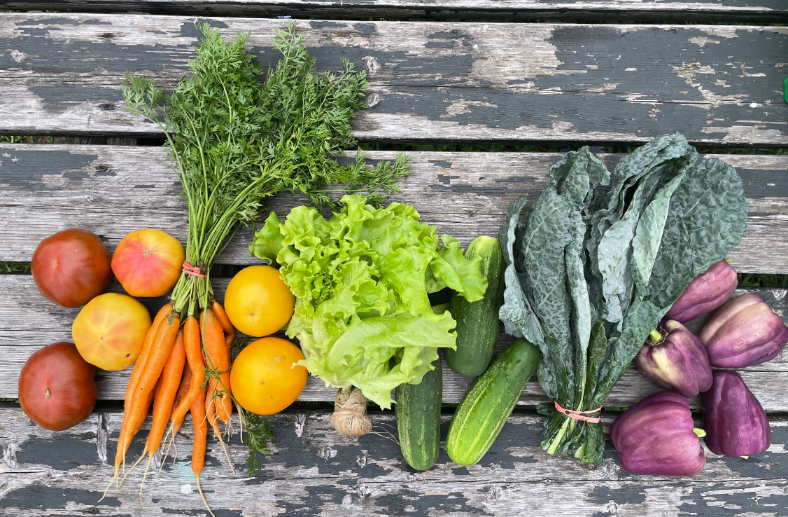 Full Well Farm Rainbow Veggies