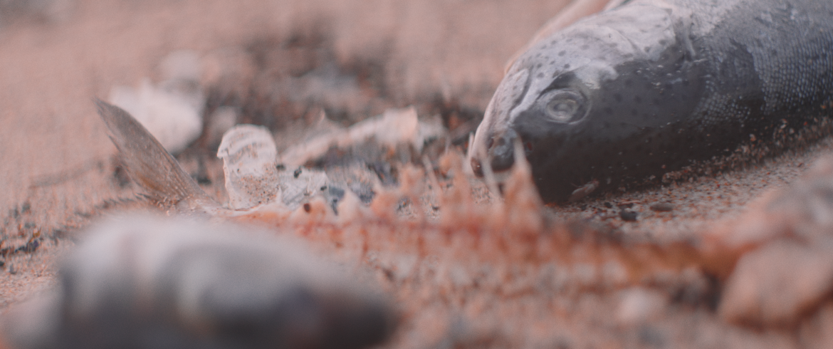 MBR Production Still Frame