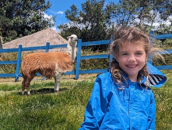 kelby with another llama friend
