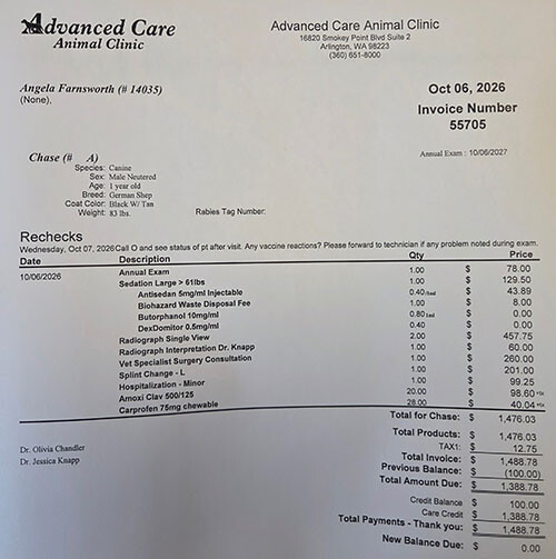 1st vet bill