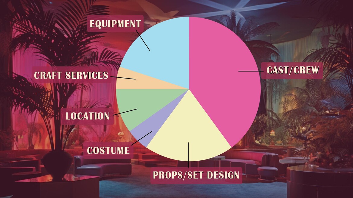 A pie chart breaking down the budget for the film.