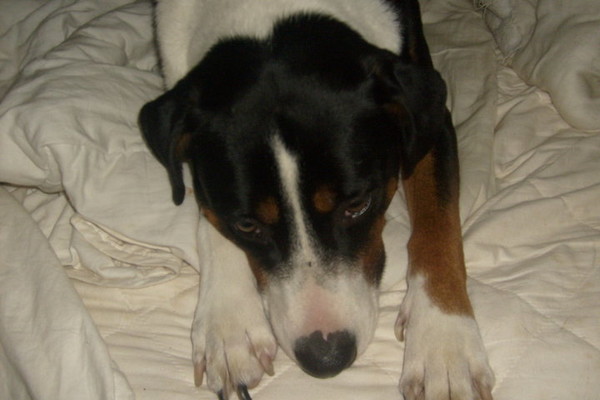 Max contemplating his day
