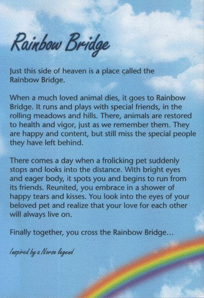 Rainbow Bridge Poem - Inspired by Norse Legend