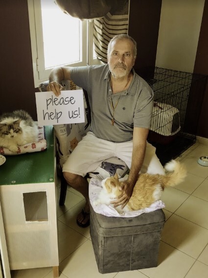 Chane One Life Cat Sanctuary co-founder Paul with rescues Angel and Chloe