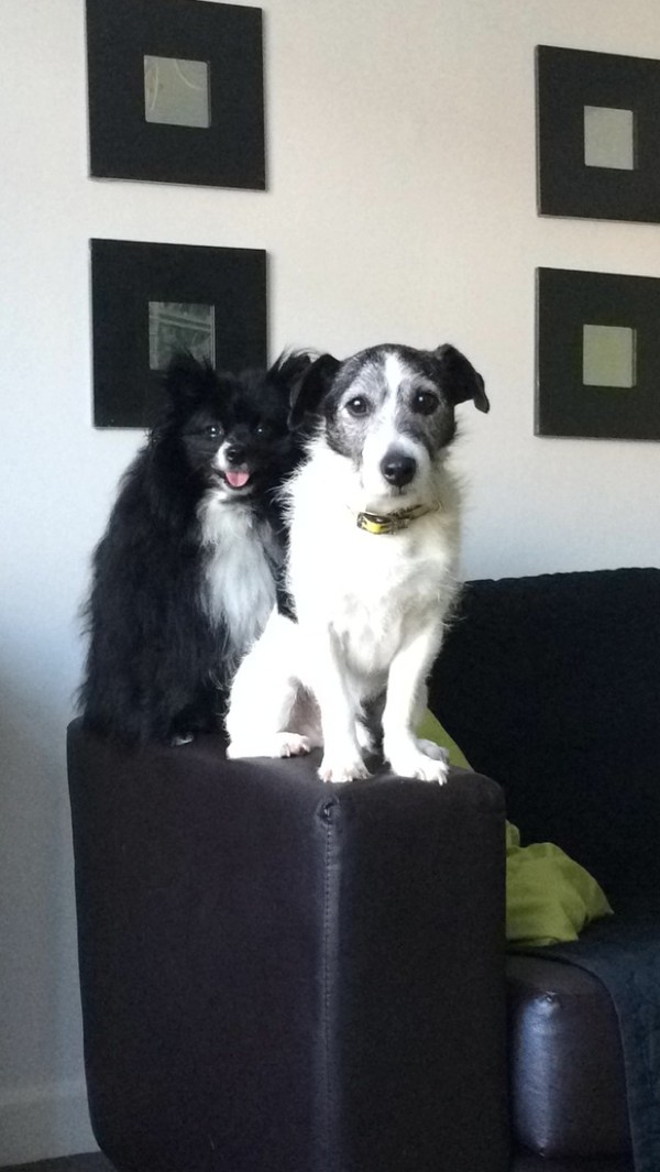 Buster & Lulu