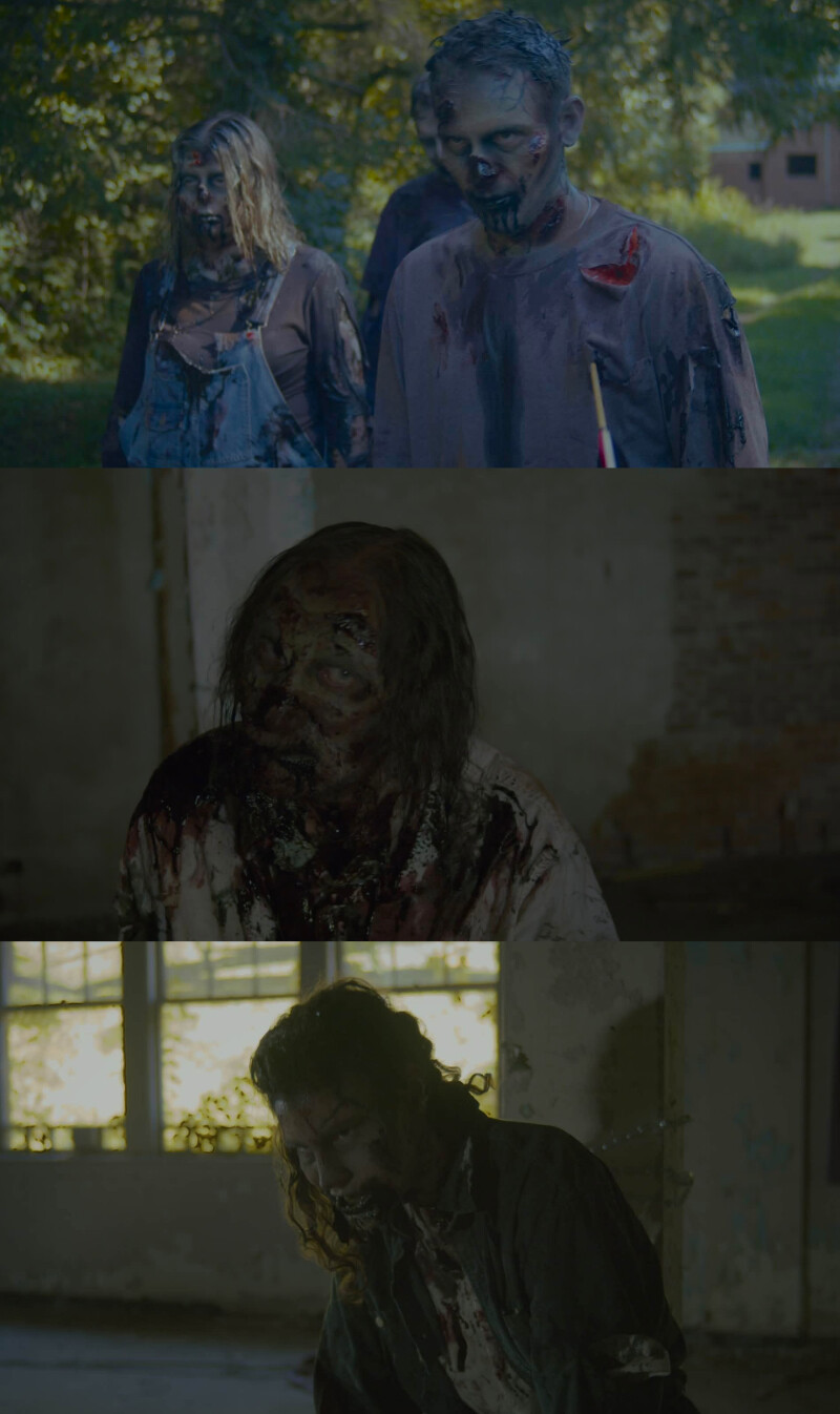 First Look Zombies