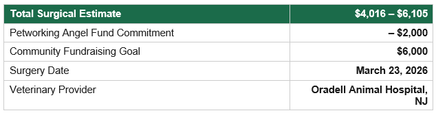 Ollie's Surgical Estimate