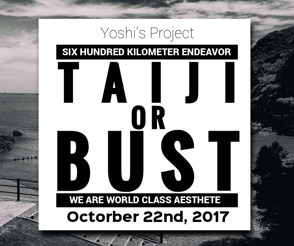 Taiji or Bust