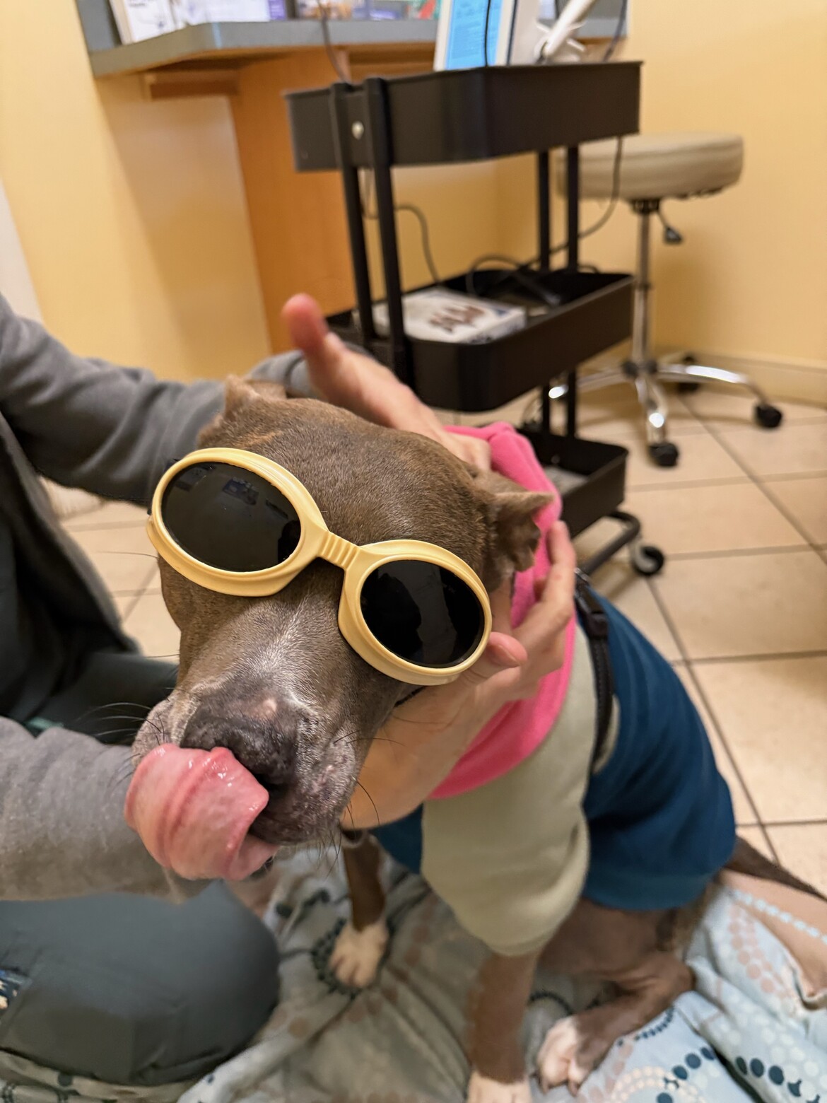 Cool Protective Laser Therapy Goggles