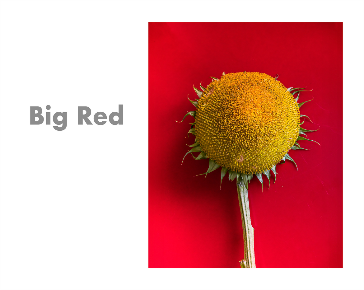 Big Red