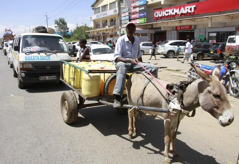 Donkey Chart
