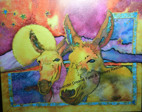 'Dreaming Donkeys'
