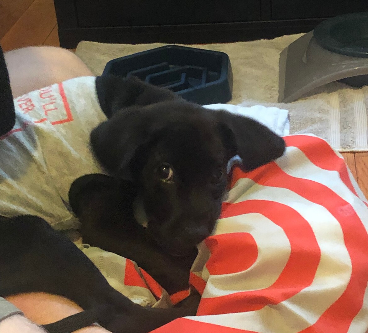 His first day home