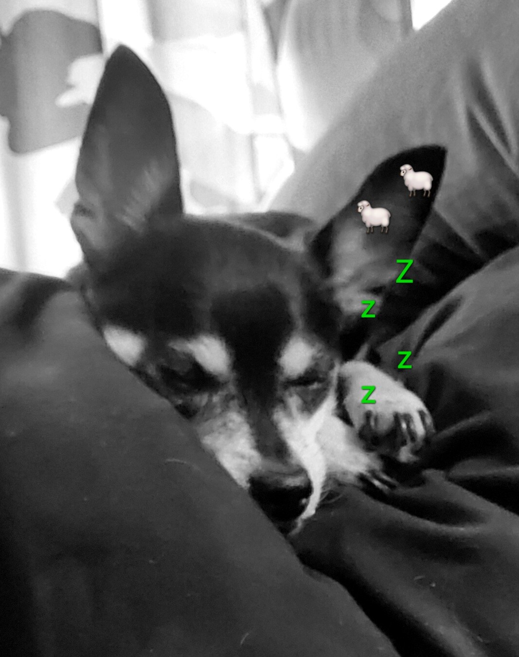 Stewart catching some zzz's