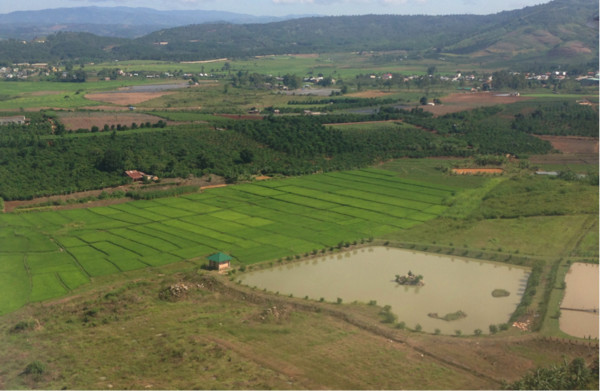 Vietnamese Countryside