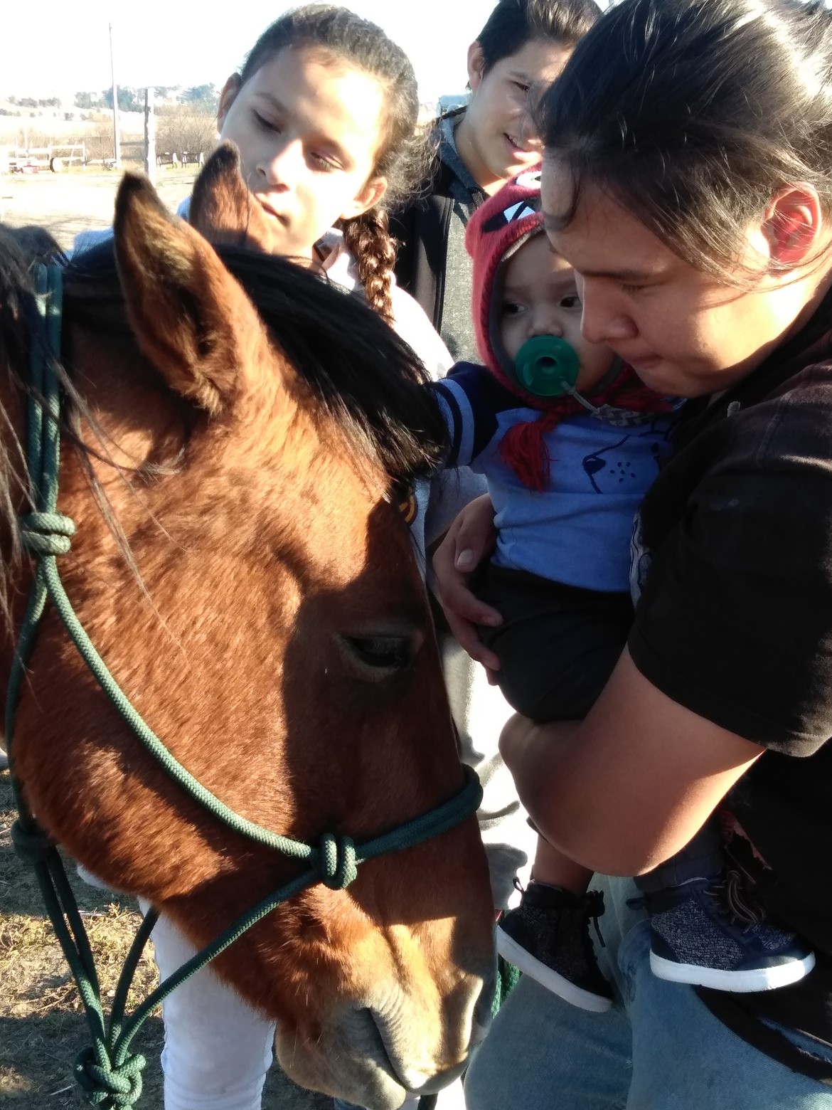 Tatanka intorduces Ronin to horses while Zora helps and MJ looks on.