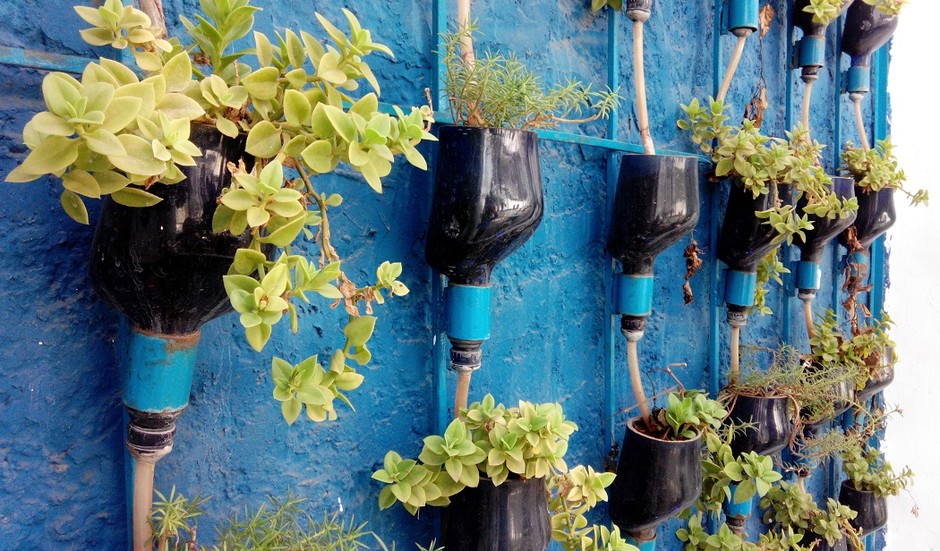 We are building vertical gardening systems using waste materials: at once creating opportunities for growing food in small spaces, and utilising waste, making a model for affordable food production at home.