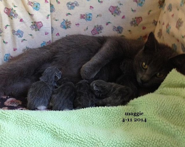 Maggie and Babies