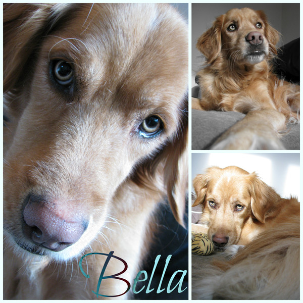 Beautiful Bella
