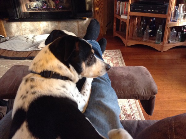 I like to snuggle and look out the window
