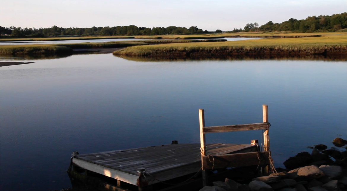 Scenic Photo of Jamestown marshes