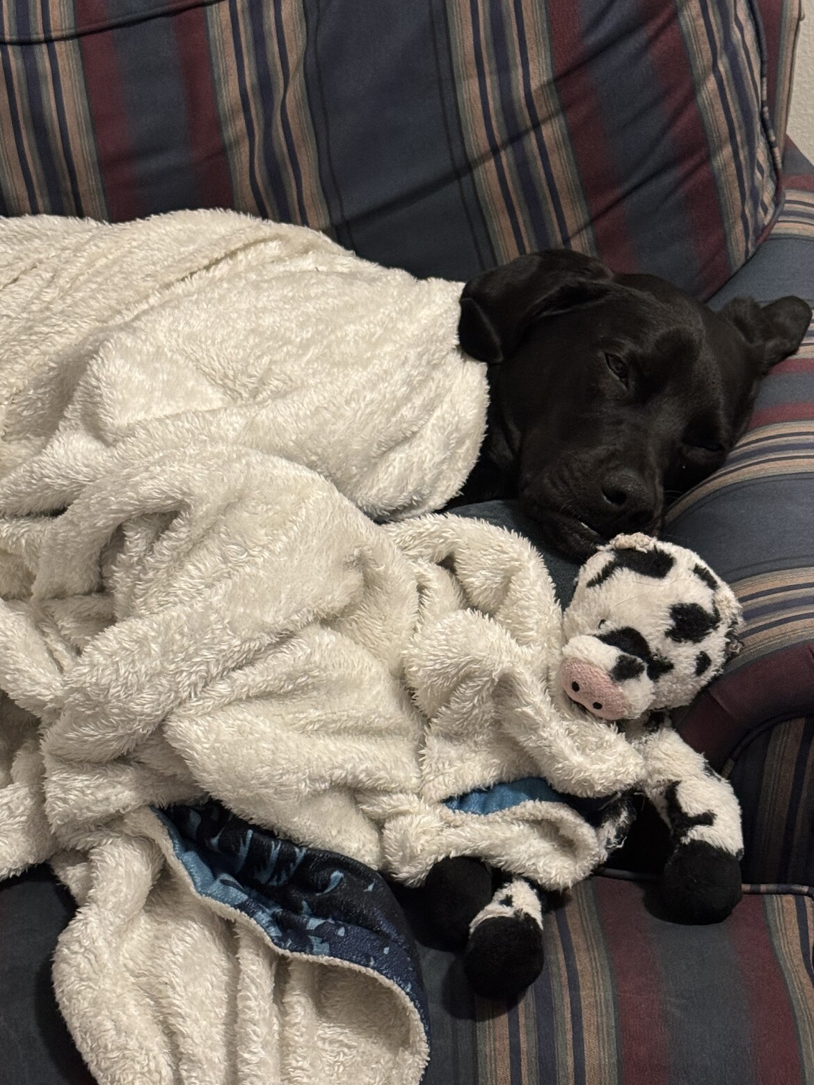 Nap time