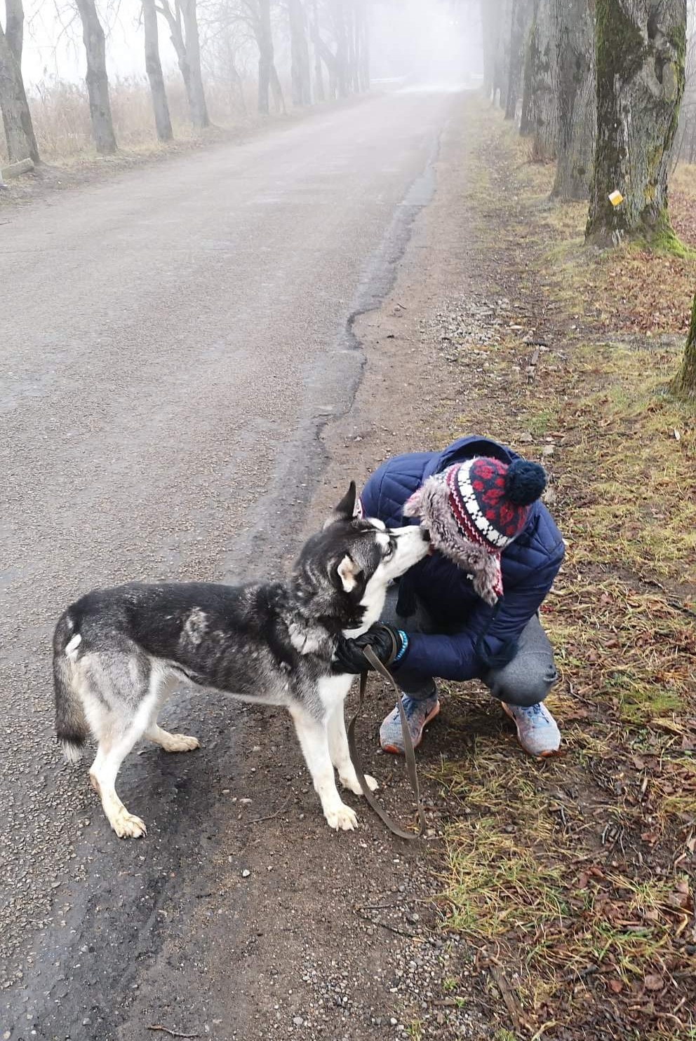 Volunteering at Animal Shelter became my therapy