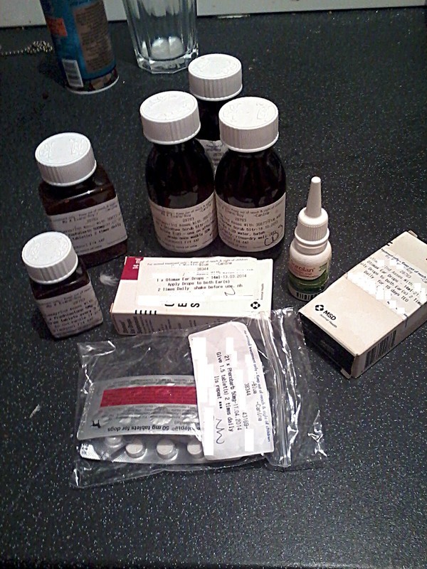 A selection of recent meds for Blue, Roy and Joseph, plus ear drops when a couple of the dogs got an ear infection