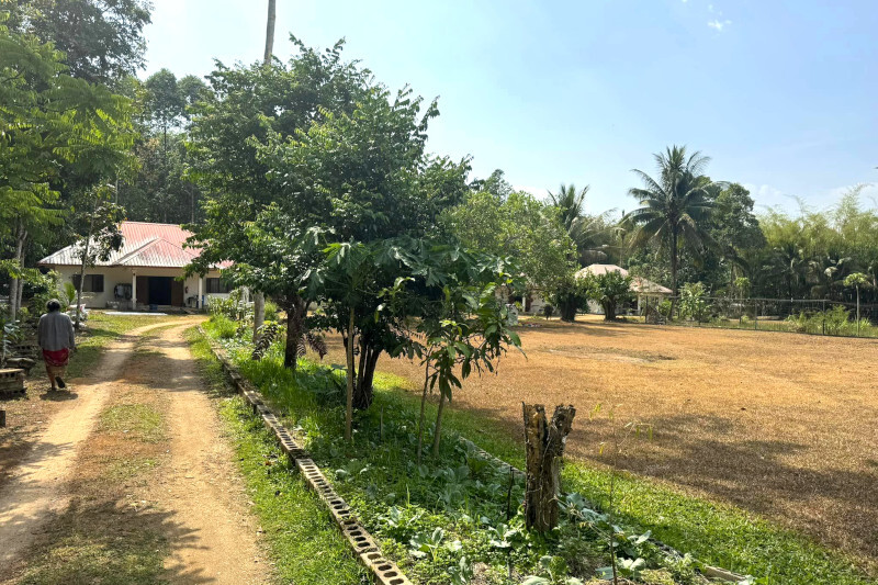 Baan San Fan orphanage in Phang-Nga countryside