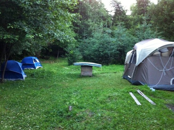 Tents jn my backyard.