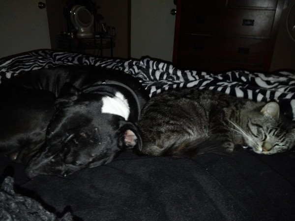 Best Buds! Meat sand Toby!