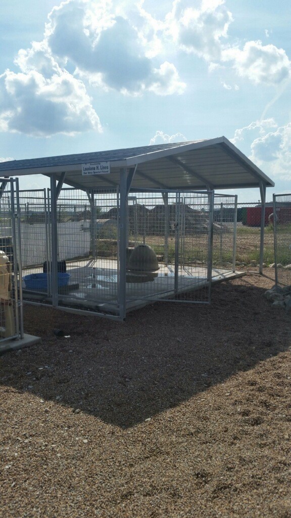 This is one of the outdoor pens.