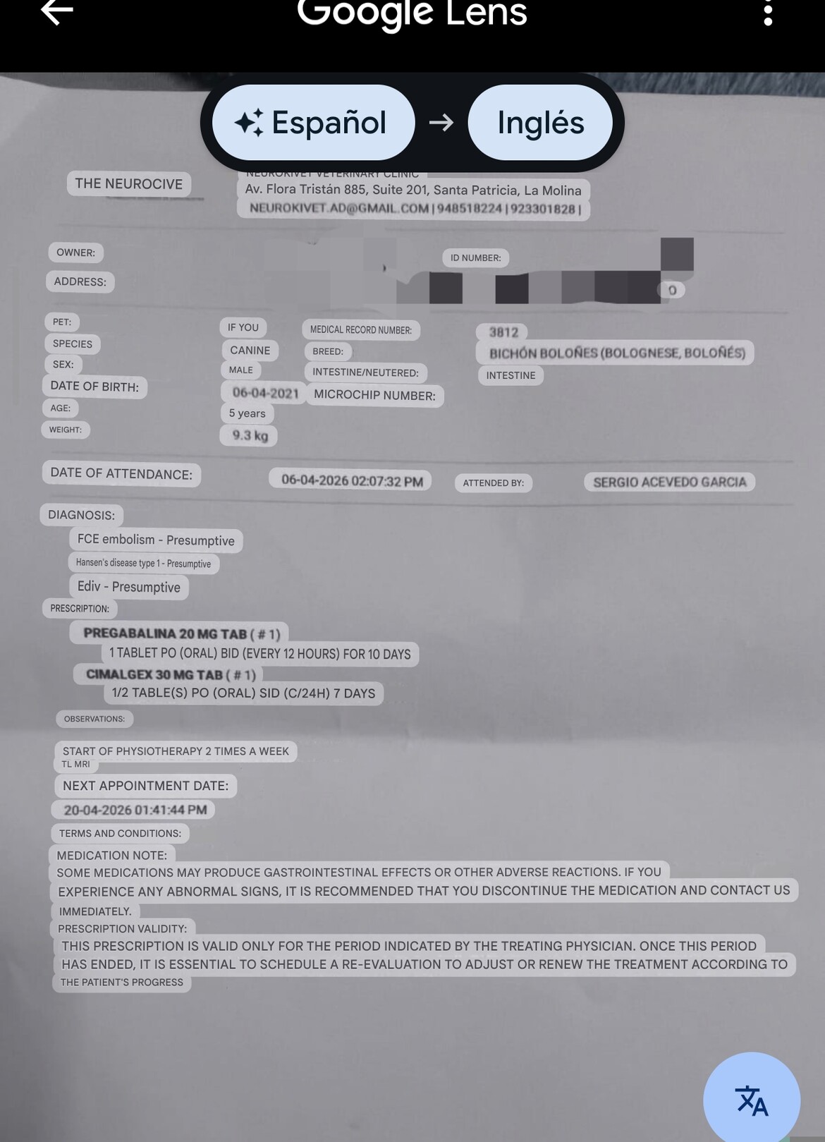 Documento de Neurólogo EN translate