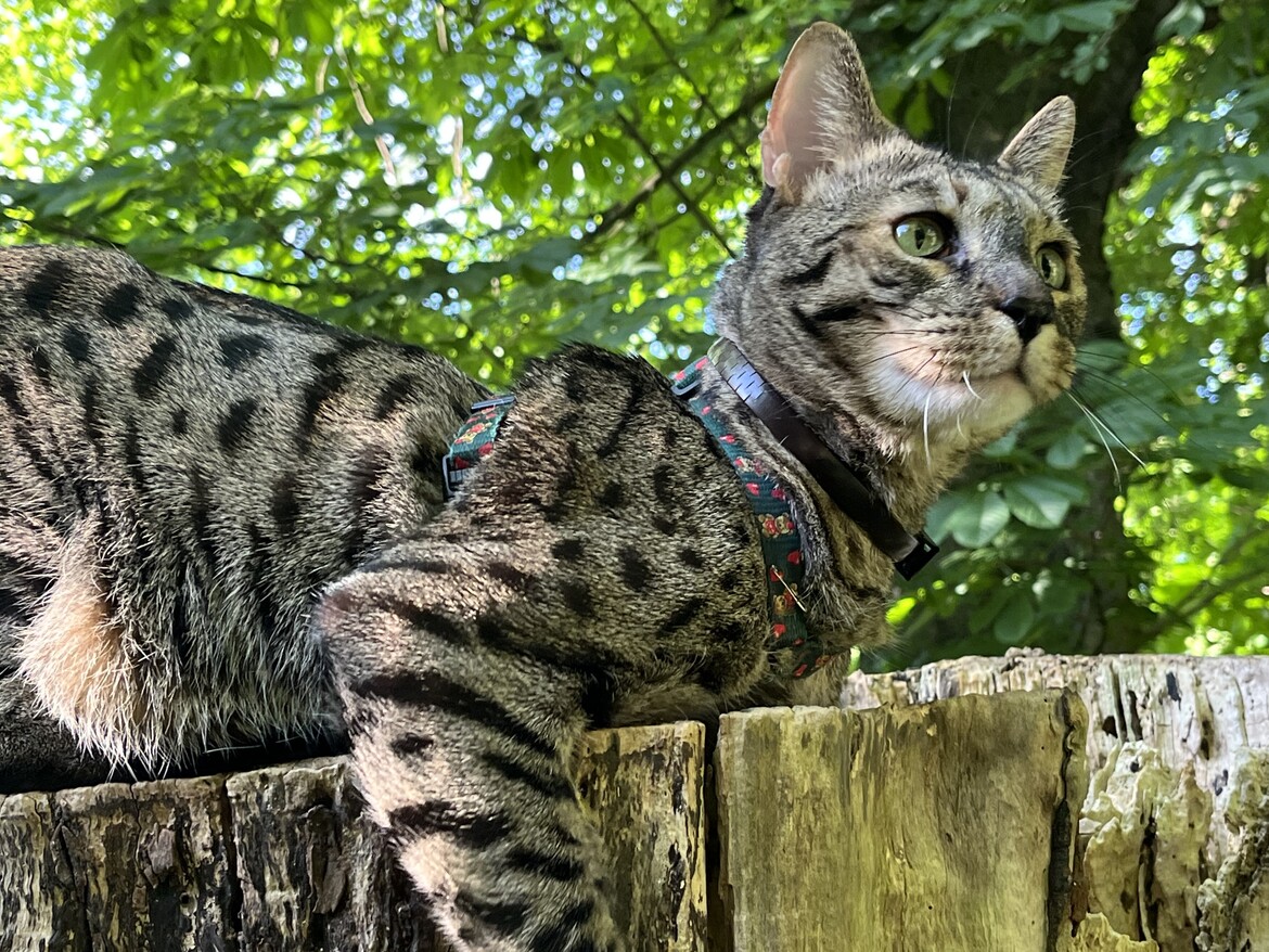 Outdoors
