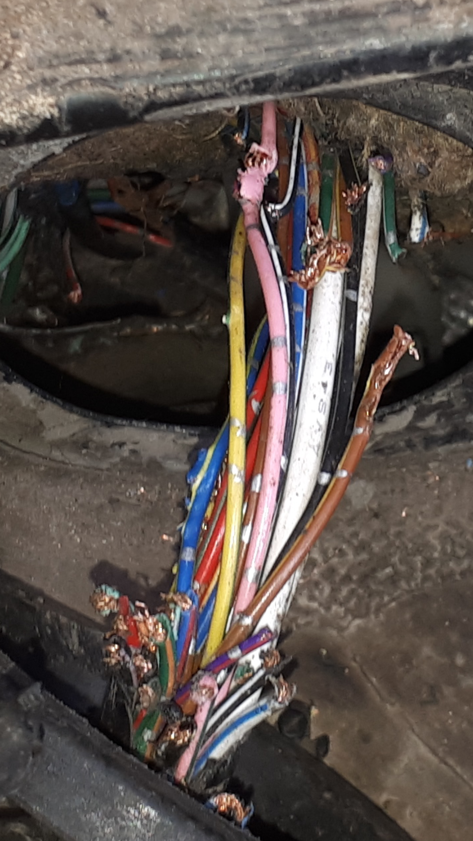 Rats have attacked the electrical systems.