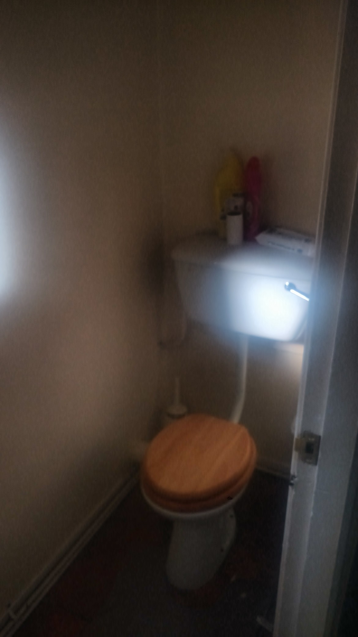 The stand-alone toilet closet