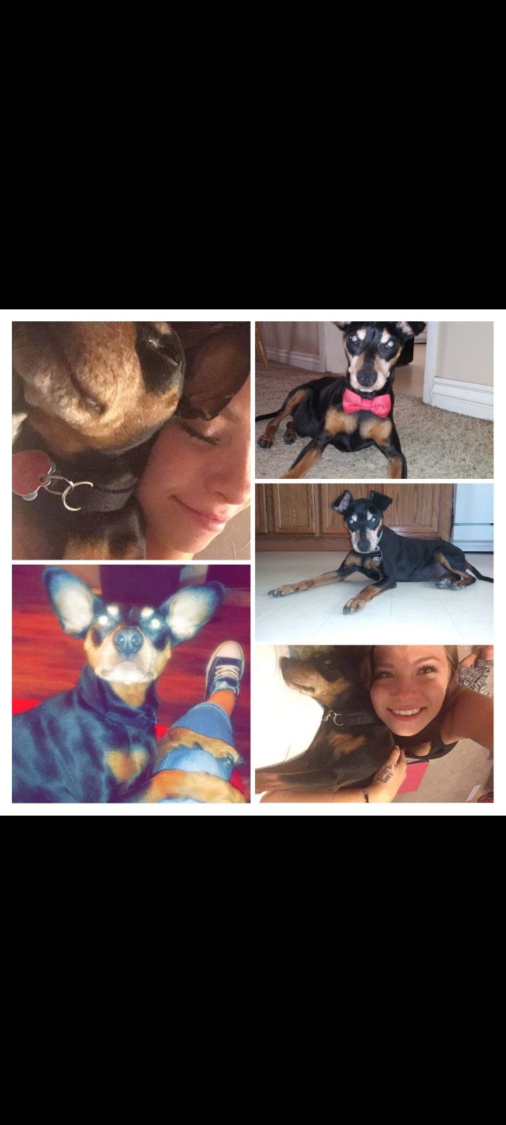 Max after going blind