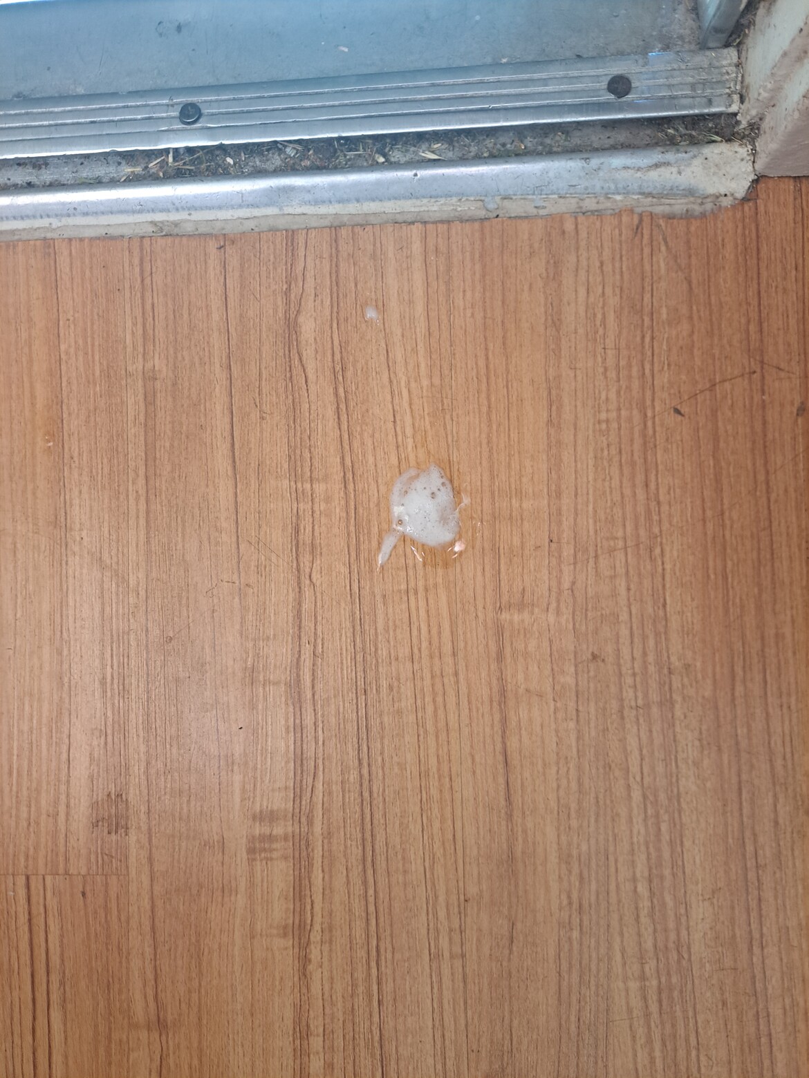 Picture of what Lucy does