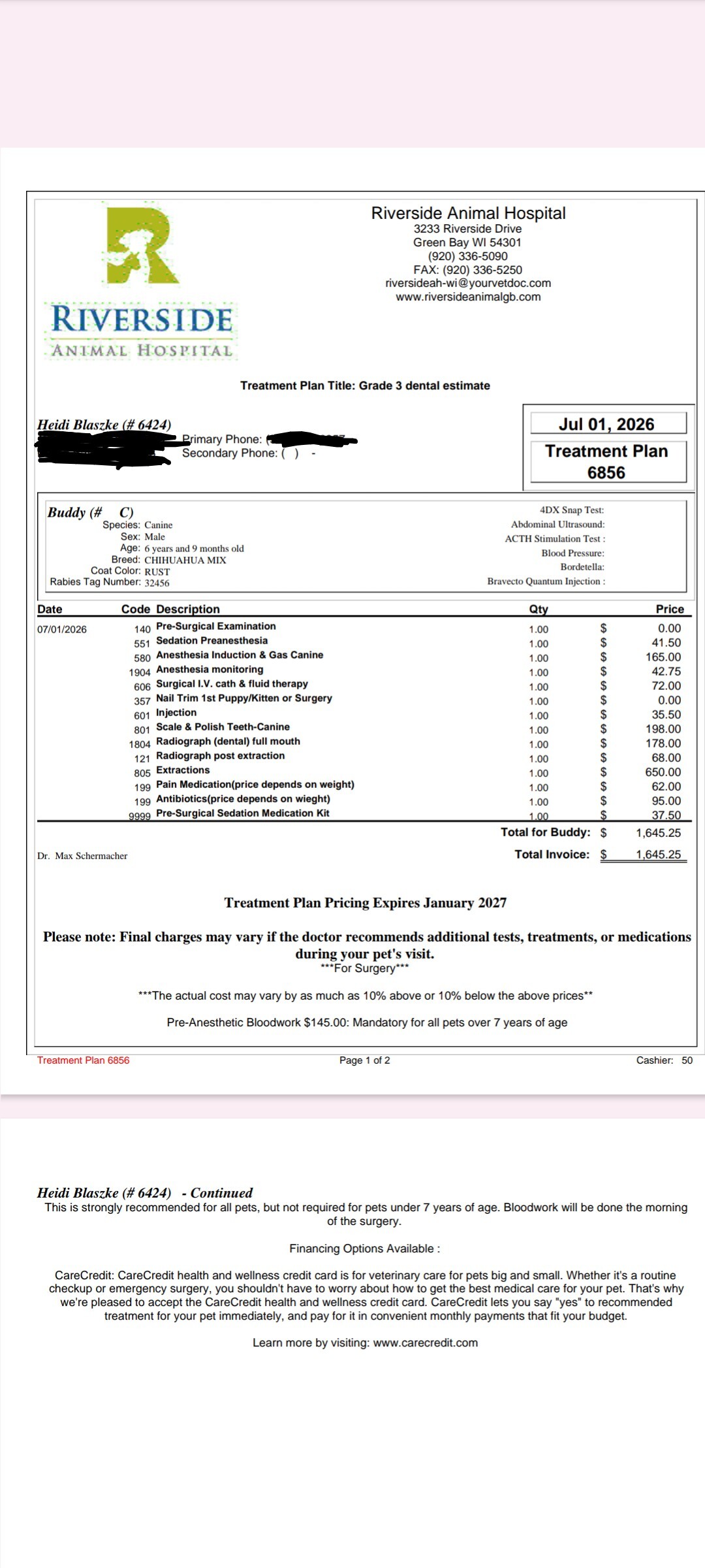 Dental Cleaning invoice