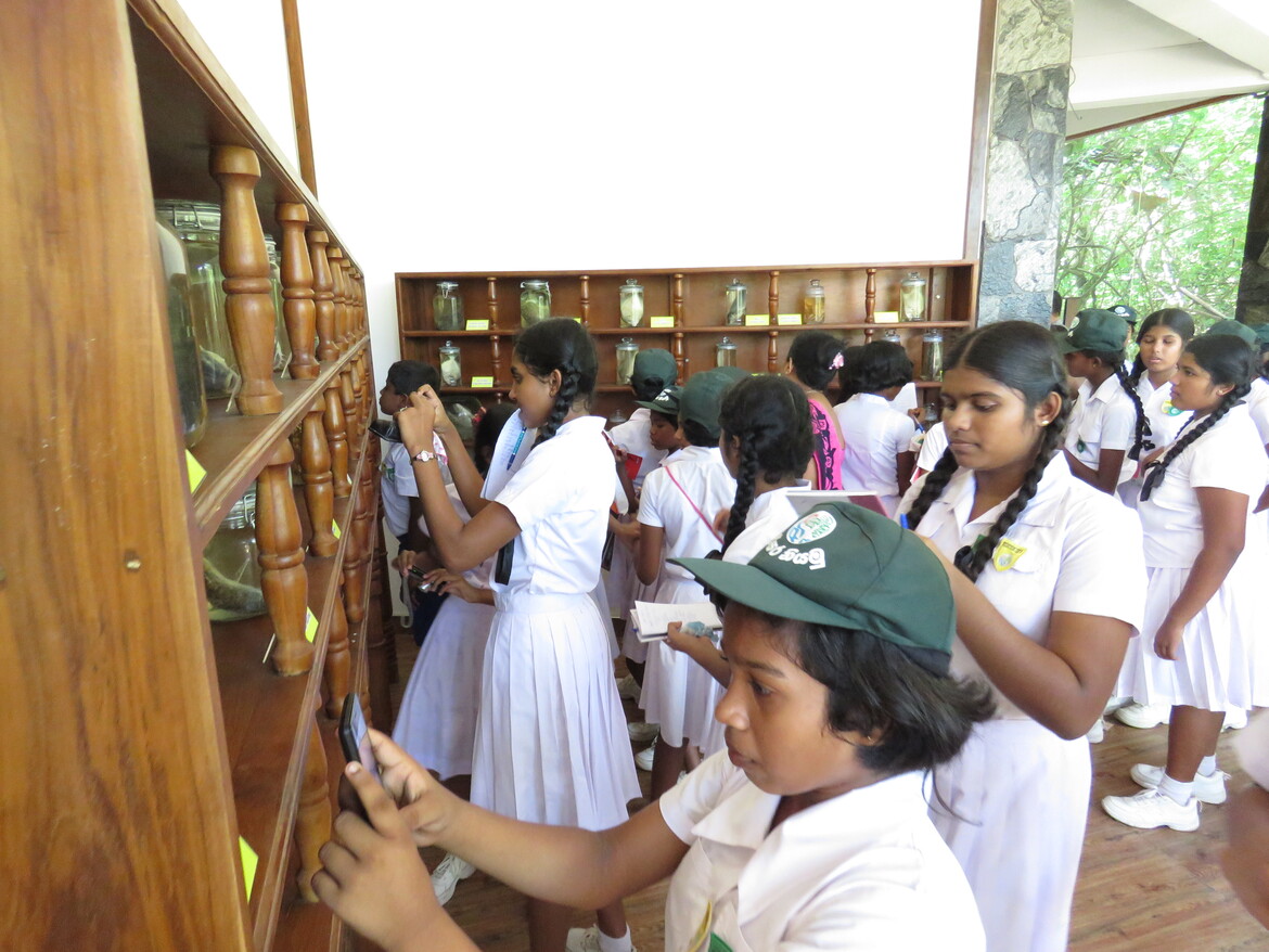 The Lanka Mangrove Museum has welcomed thousands of students from across the country.