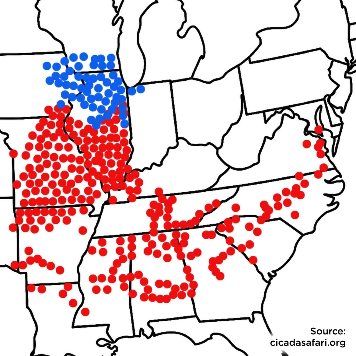 map of Broods XIII (blue) and XIX (red)