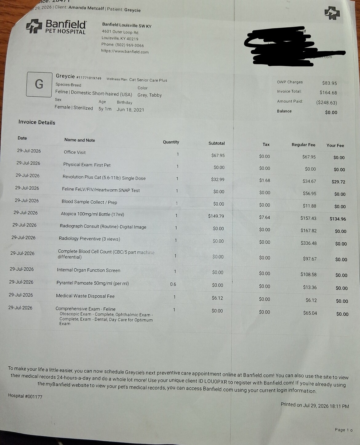 Invoice from 7/29 visit