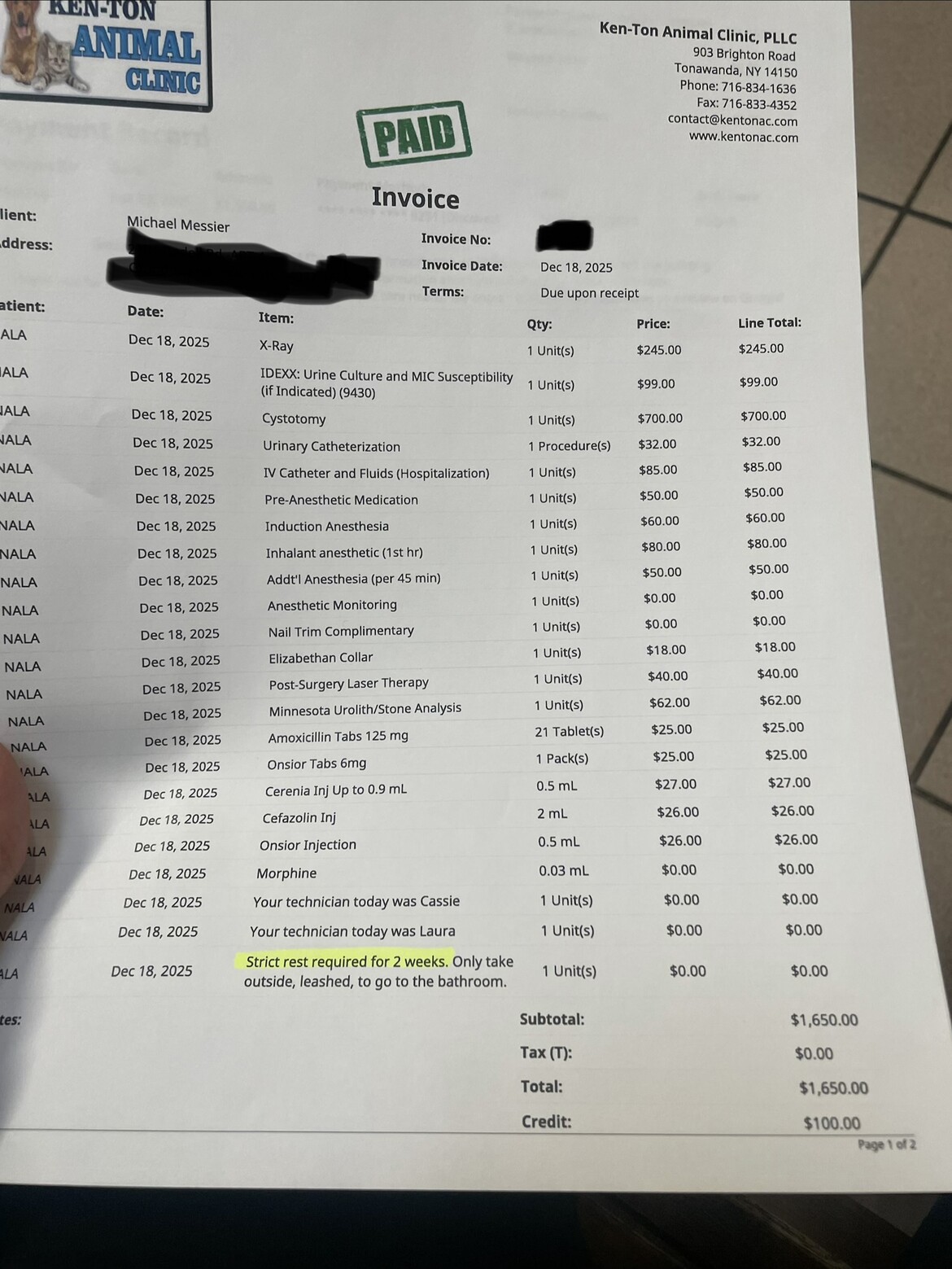 Nala’s bladder surgery bill from late December 2025!