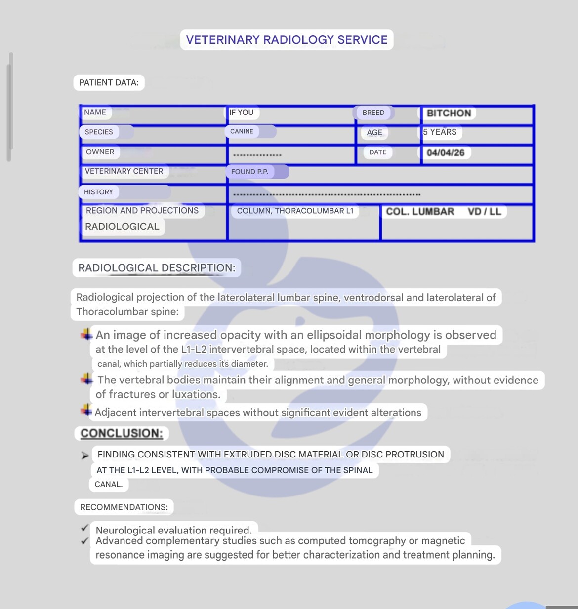 Picture of a veterinary description EN translation