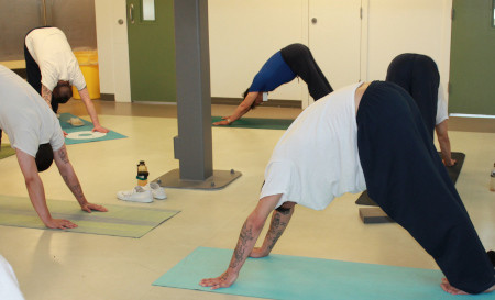 Yoga Mats - The Yoga Association of Alberta