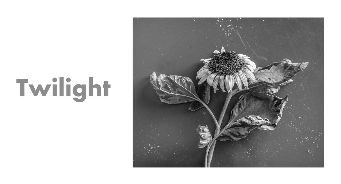 Twilight