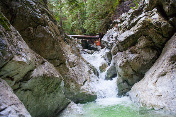 Limestone canyon in the Walbran watershed. Photo by TJ Watt.